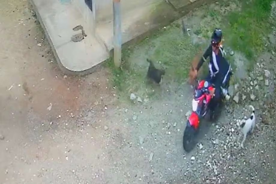 Tomada de Internet