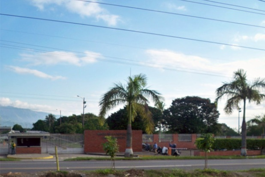 Suministrada