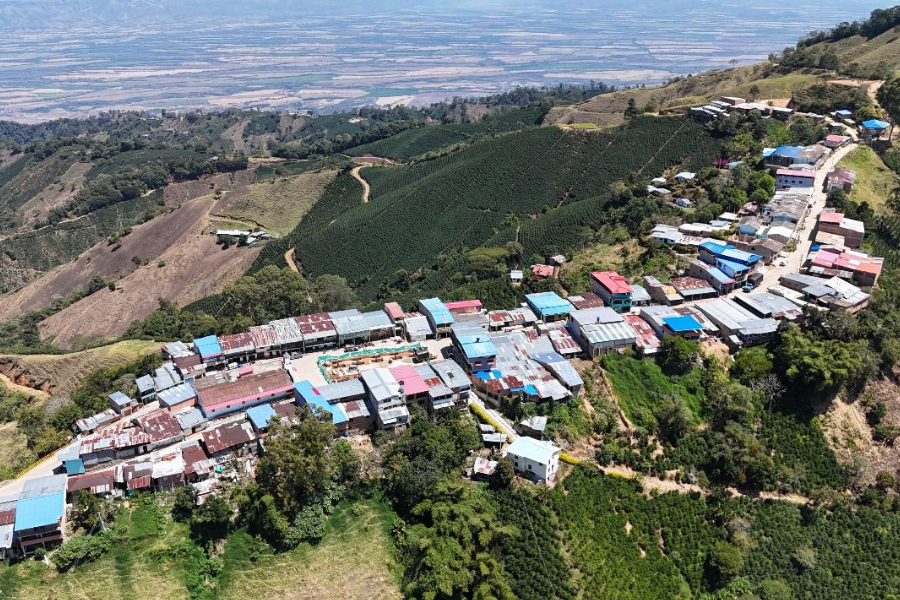 Suministrada