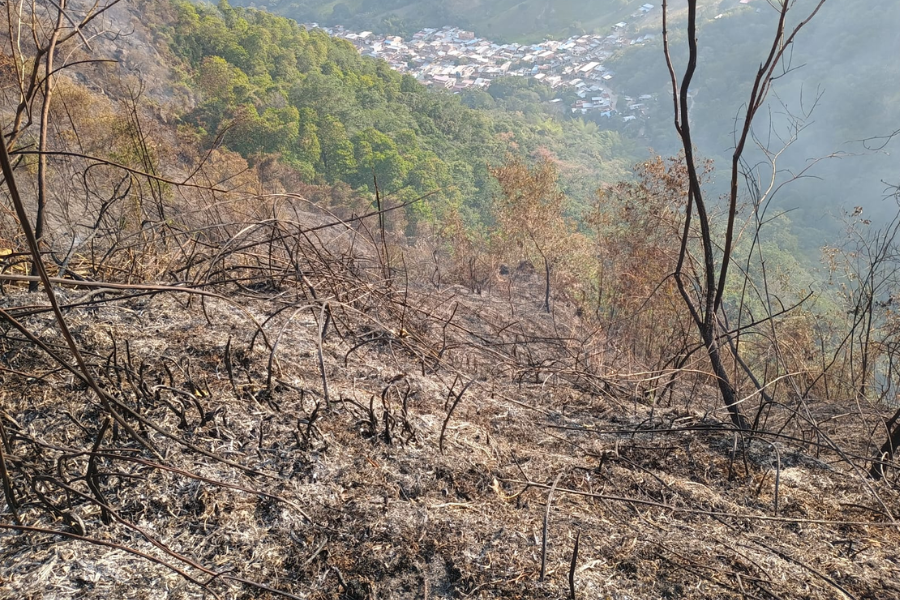 Suministrada