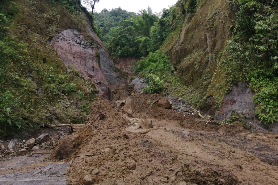 Suministrada