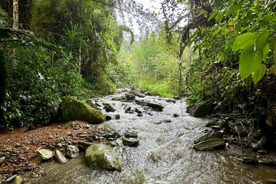 Suministrada