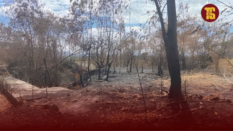 Tolima reduce incendios a 17 focos activos, pero enfrenta el monumental reto de recuperar 11.000 hectáreas
