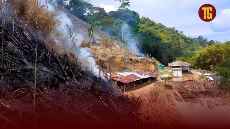 Golpe al agro tolimense: incendios dejan pérdidas por más de $41.000 millones y casi 5.000 hectáreas arrasadas
