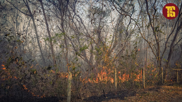 Tolima completa 36 incendios activos y piden ayuda urgente al gobierno nacional