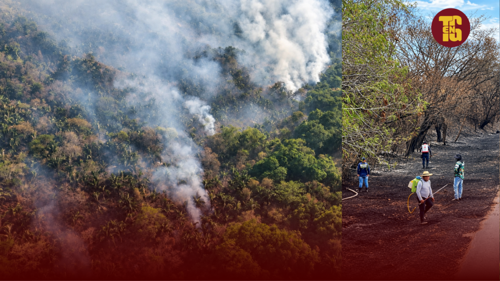 El fuego retrocede en cuatro municipios del Tolima, pero amenaza a Prado y Ataco: balance del PMU nocturno